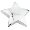 Metal Star Paperweight