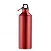 Aluminum Logo Custom Water Bottle with Carabiner - 25 oz.