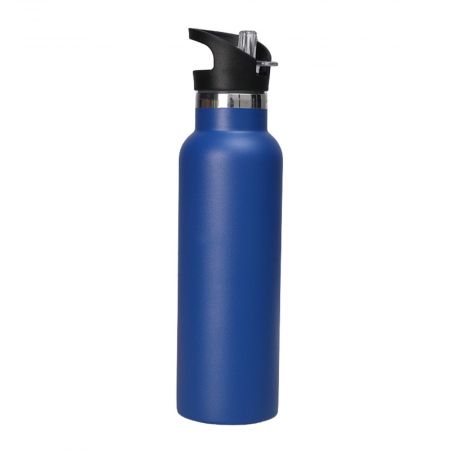 Stainless Steel Custom Insulated Bottle with Straw Lid - 20 oz.